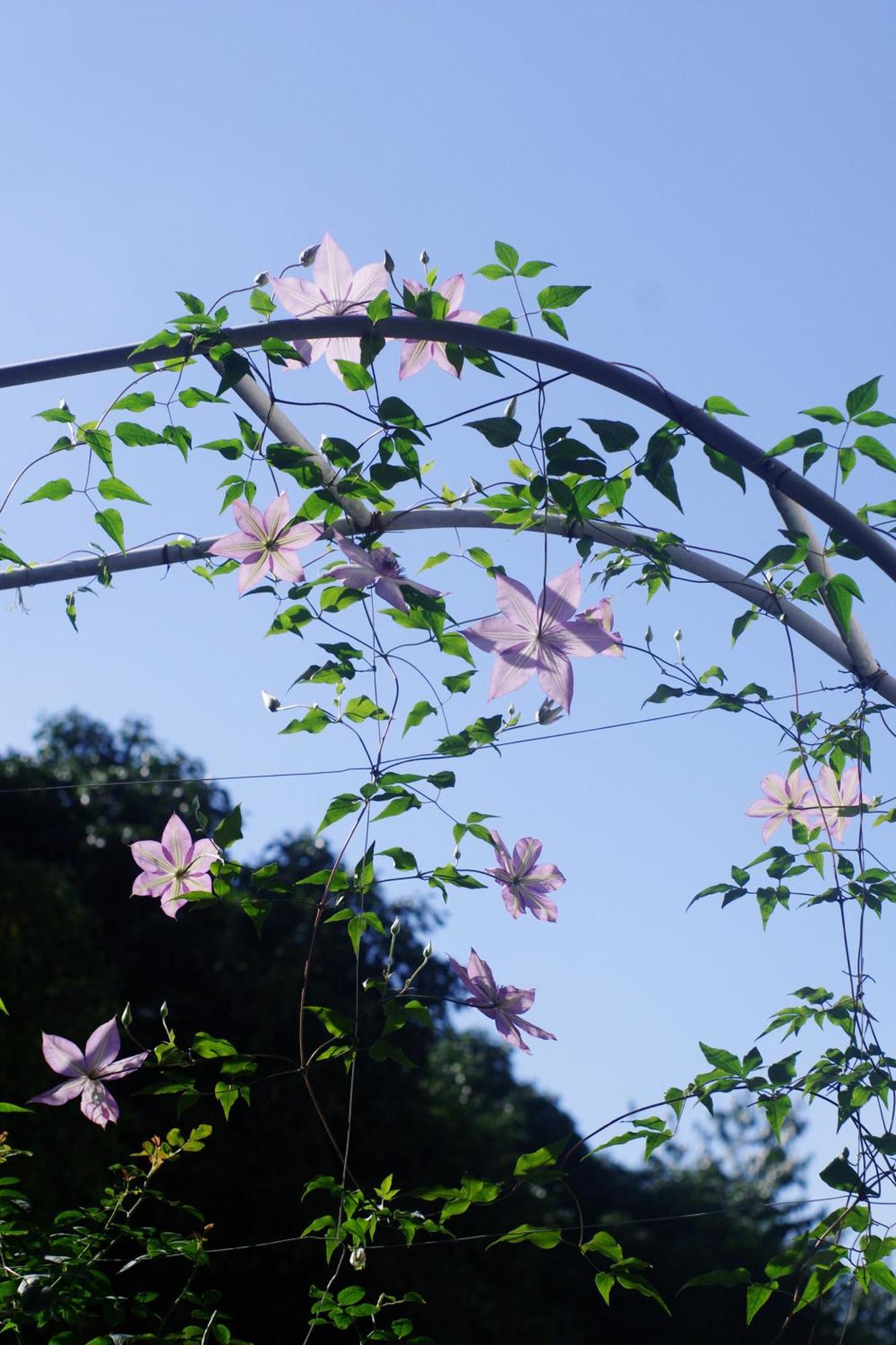 Hangzhou Jiuyueji Bed&Breakfast Luaran gambar